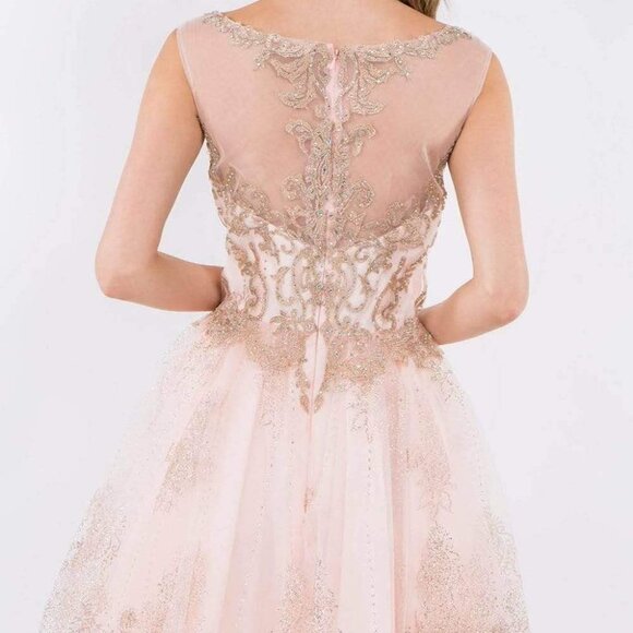 NWT Elizabeth K GS1964 Mesh Cocktail Dress Pink Size 2XL - Picture 5 of 10